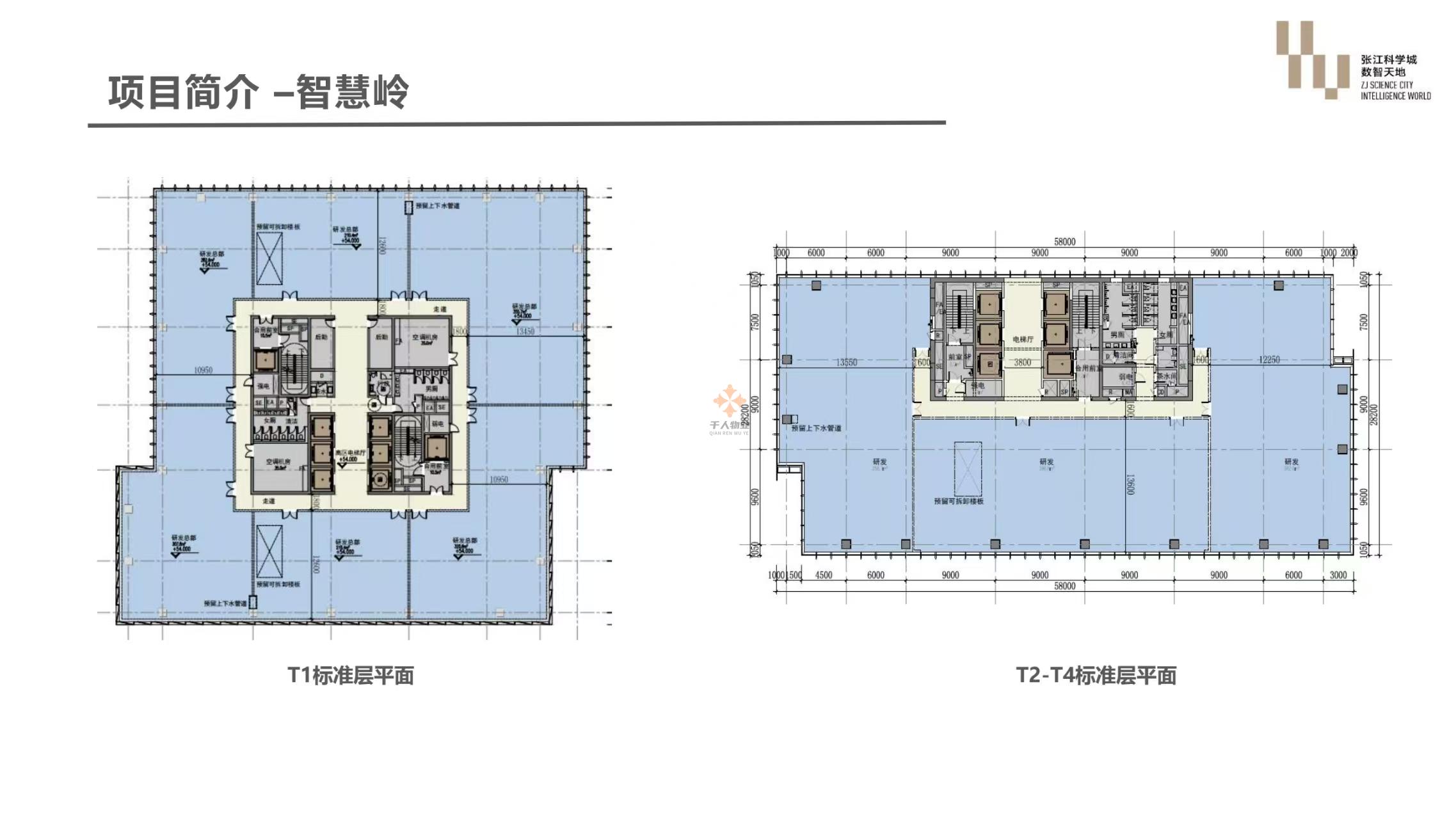 浦東 張江科學城數(shù)智天地·智慧嶺 2500平米 簡裝